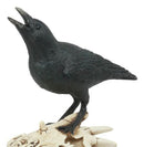 Ghost Scavenger Bird Raven Crow Resting On Dragon Skull Fossil Figurine