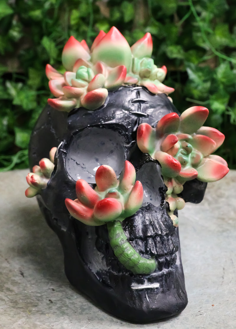 Day of The Dead Flora And Fauna Black Skull With Budding Succulents Figurine