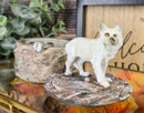 Small Moon Albino White Wolf Rounded Jewelry Box Figurine Decor Set of 4