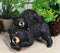 Ebros Rustic Forest Black Mama Bear And Cub Cuddling Shelf Snoozer Sitter Figurine