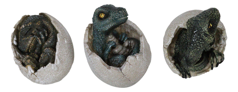 Jurassic Velociraptor And T-Rex Breaking Out Of Egg Dinosaur Figurine Set of 3