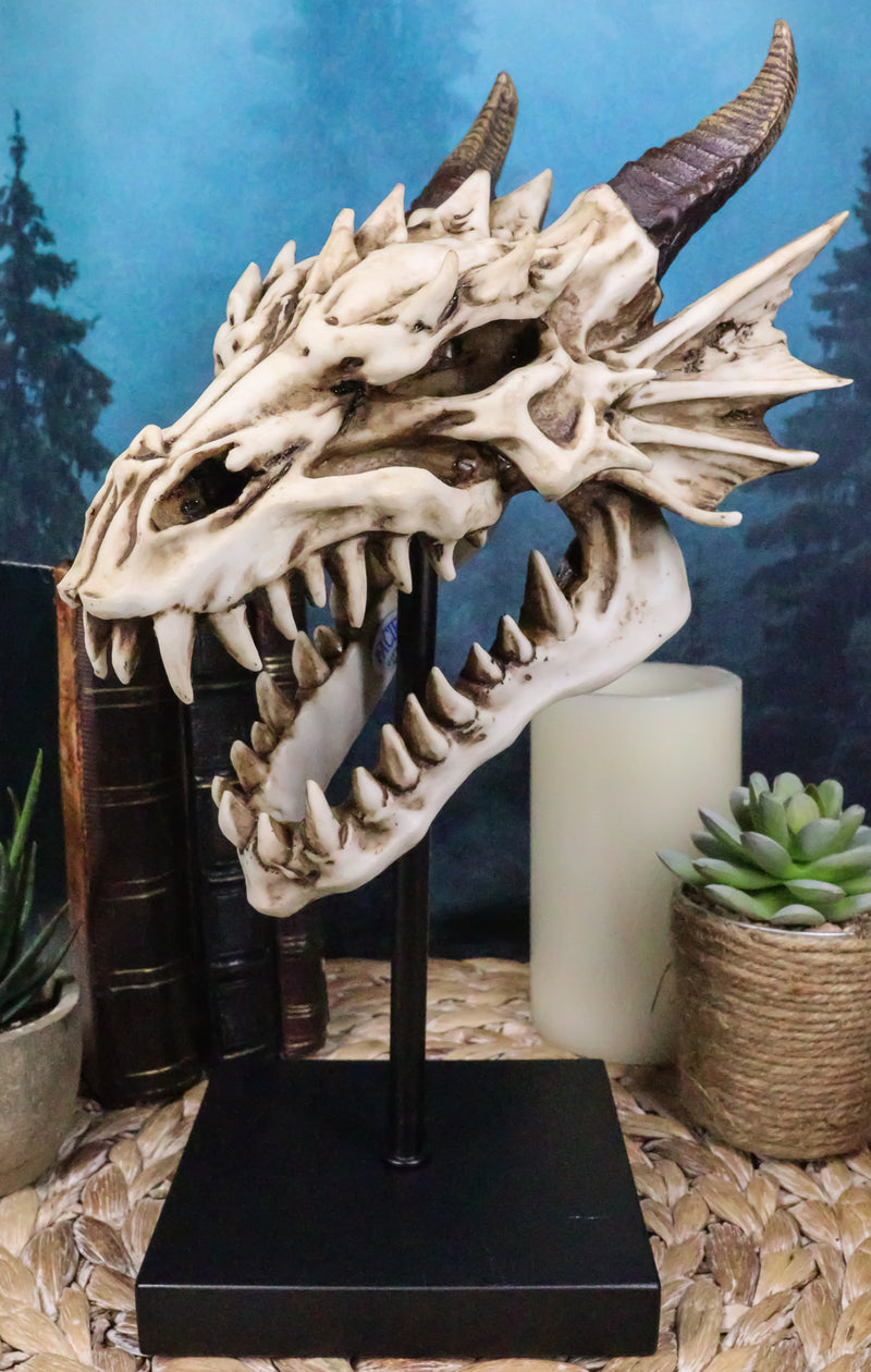 Ferocious Terra Bone Dragon Head Skull On Museum Pole Stand Display Figurine 12"