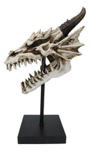 Ferocious Terra Bone Dragon Head Skull On Museum Pole Stand Display Figurine 12"