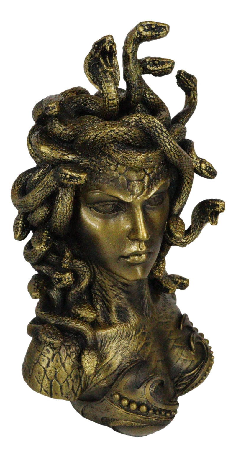 Medusa Head Snake Hair Goddess Greek Myth Gorgon for Kids Art Board Print  for Sale by NUMAcreations