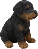 Ebros Lifelike Realistic Sitting Rottie Rottweiler Puppy Dog Statue 6.25" Tall