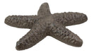 Ebros Cast Iron Ocean Coral Sea Star Shell Starfish Decorative Accent Statue in Rustic Bronze Finish 4.5" Wide Nautical Coastal Themed Decor for Wedding Beach Party Home Decorations DIY Crafts (1)