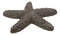 Ebros Cast Iron Ocean Coral Sea Star Shell Starfish Decorative Accent Statue in Rustic Bronze Finish 4.5" Wide Nautical Coastal Themed Decor for Wedding Beach Party Home Decorations DIY Crafts (1)