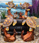 Marine Life Sea Turtles Swimming Under The Sea Reefs Collectible Figurines Set