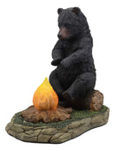 Ebros Rustic Forest Black Bear Warming Hands By Campfire LED Night Light Statue