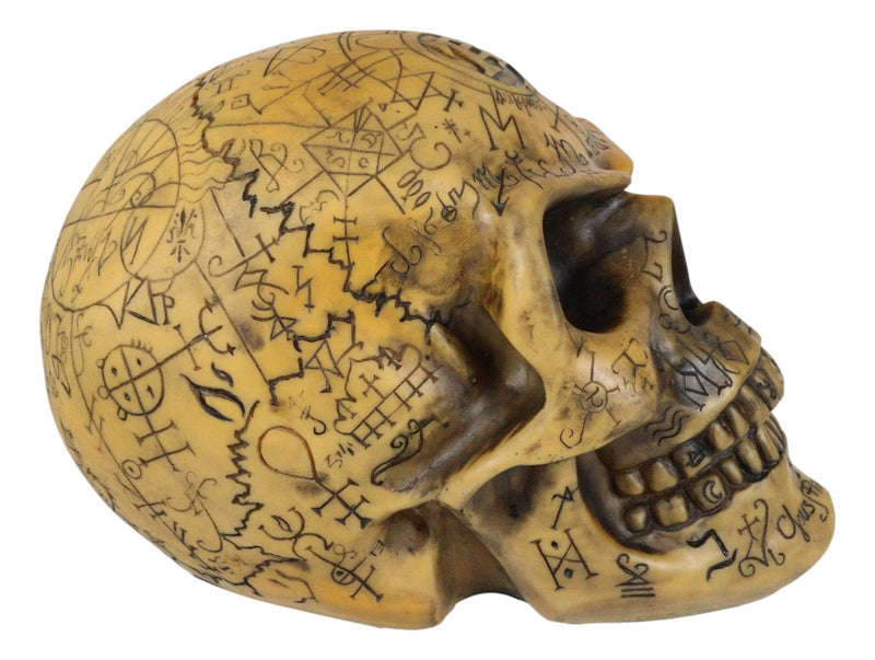 Ebros Alchemy Alpha Omega Ancient Mystical Symbols Skull With Sharp Canine Figurine