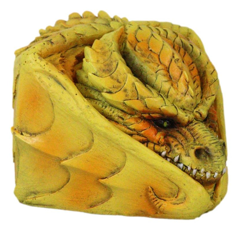 Hibernating Dragon Yellow Serpent Drake Small Stash Trinket Jewelry Box Figurine