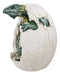 Ebros Green Earth Dragon Hatchling Breaking Out of Egg Shell Figurine 5" H