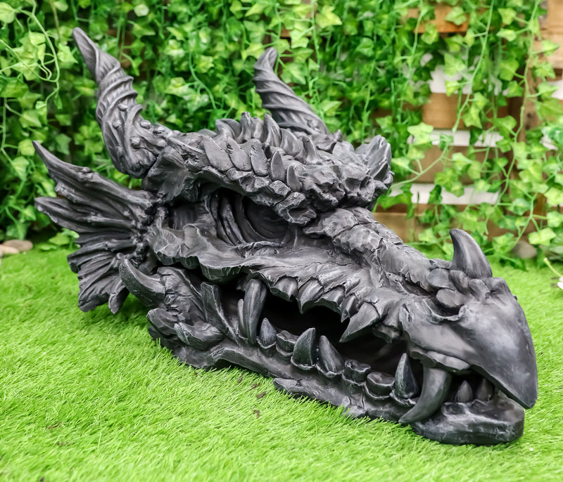 Oversized Giant 27"L Dragon Black Fossil Skull With Horns Grendel Drake Statue