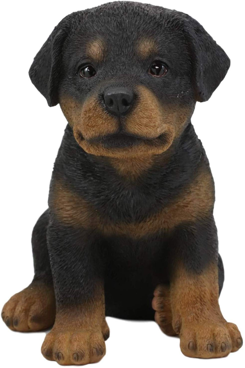 Ebros Lifelike Realistic Sitting Rottie Rottweiler Puppy Dog Statue 6.25" Tall