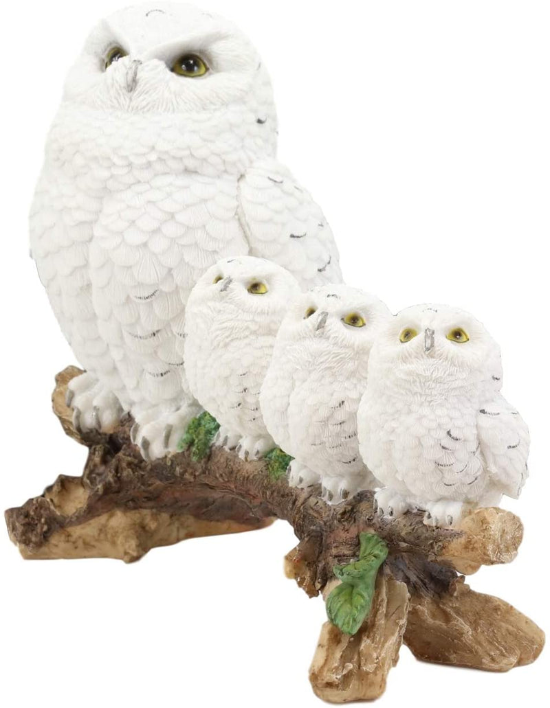 Ebros White Owl Perching On Tree Branch With 3 Baby Owlets Statue 10.25" Wide