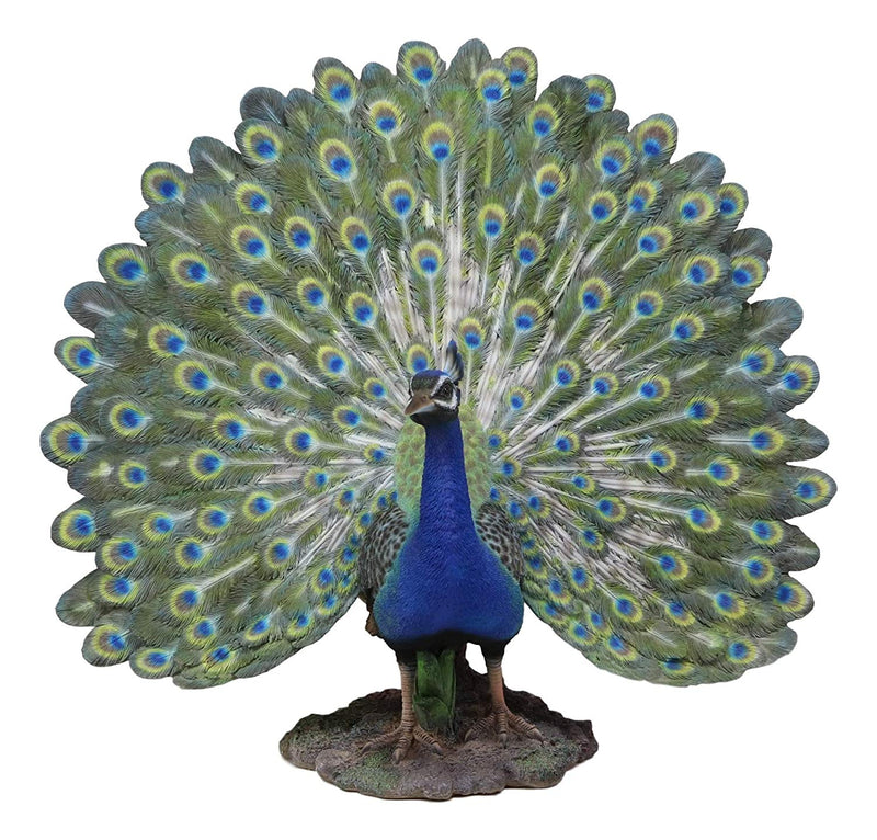 Large Gallery Quality Male Peacock With Exotic Iridescent Train Plumage Statue