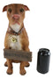 Ebros Lifelike American Pit Bull Pet Dog Statue W/ Jingle Collar And Sign 13"H