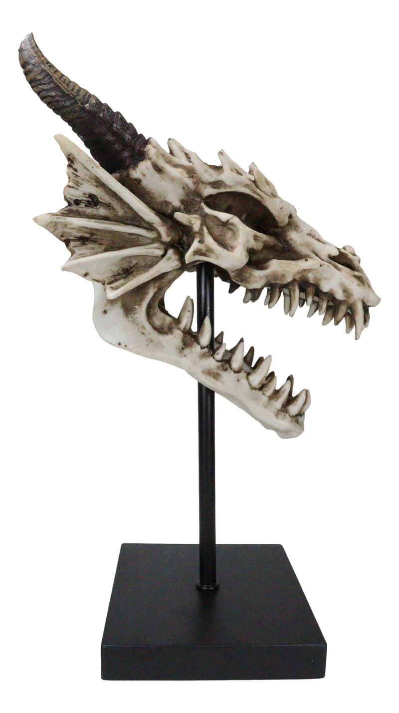 Ferocious Terra Bone Dragon Head Skull On Museum Pole Stand Display Figurine 12"