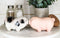 Ceramic Animal Farm Porky Pigs Lover Couple Kissing Salt Pepper Shakers Set