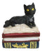 Ebros Wiccan Black Cat With Pentagram Star Red Book Of Spells Box Figurine