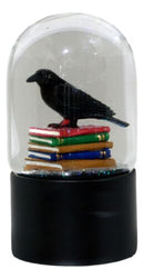 Day Of The Dead Edgar Allan Poe Raven Bibliography Glitter Water Globe Figurine