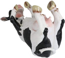 Bovine Brew And Moo Spice Wine Bottle And Salt Pepper Holder Set Decorative