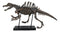 Jurassic Spinosaurus Dinosaur Fossil Skeleton Statue On Museum Mount 28.25"Long