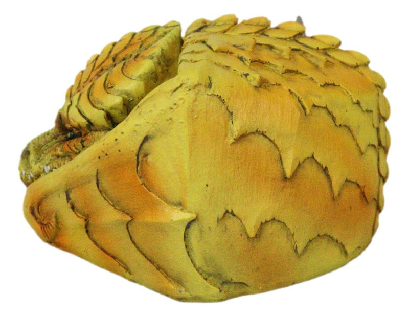 Hibernating Dragon Yellow Serpent Drake Small Stash Trinket Jewelry Box Figurine