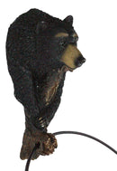 Rustic Western Forest Black Bear Holding Pinecone Branch Hand Towel Holder Ring