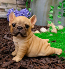 Ebros Adorable French Bulldog Puppy Dog With Belly On The Ground Figurine 6.5"L