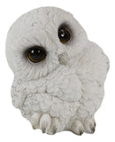 Ebros Adorable Snowy Tundra White Baby Owl Wobble Tiptoeing Happy Feet Figurine