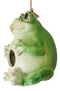 Whimsical Jumbo Fat Frog Toad Birdhouse Bird Feeder House Branch Hanger Figurine