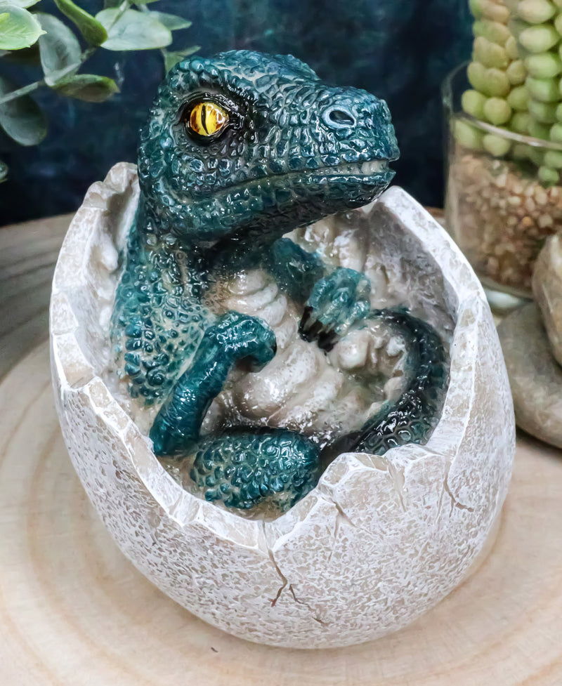 Jurassic Era Predator Velociraptor Hatchling Egg Dinosaur Figurine Collectible