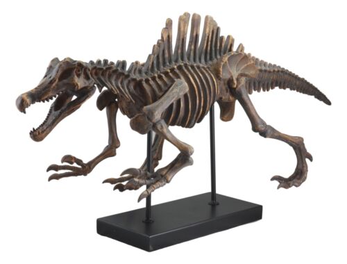 Jurassic Spinosaurus Dinosaur Fossil Skeleton Statue On Museum Mount 28.25"Long