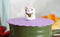 Set Of 4 Purple Maneki Neko Cat Reusable Silicone Coffee Mug Cup Cover Lids