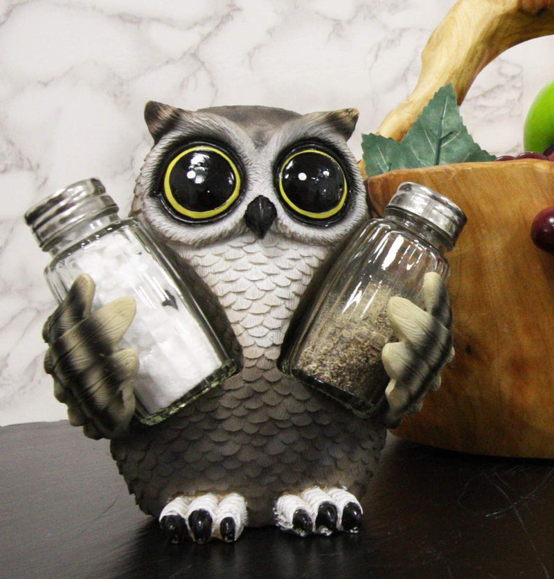 Ebros Whimsical Owlet Baby Owl W/ Big Round Eyes Glass Salt & Pepper Shakers Set