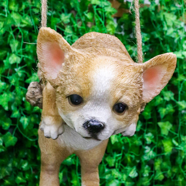 Baby toy chihuahua sale