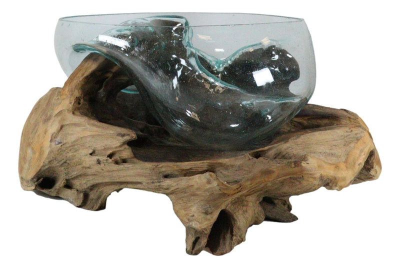 Balinese Handicraft Natural Driftwood With Large Glass Fruit Succulents Bowl