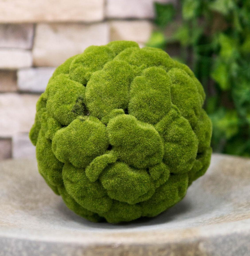 3 Green Moss Ball