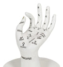 Psychic Fortune Teller Chirology Palmistry Hand Palm Jewelry Dish Rings Holder