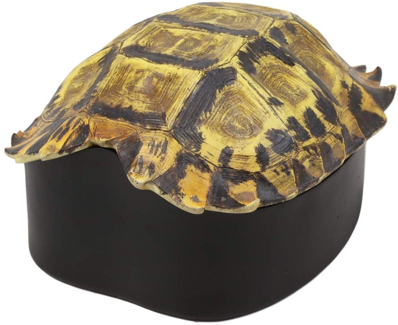 Ebros Nautical Reptile Realistic Elongated Tortoise Shell Decorative Box Figurine 8"L