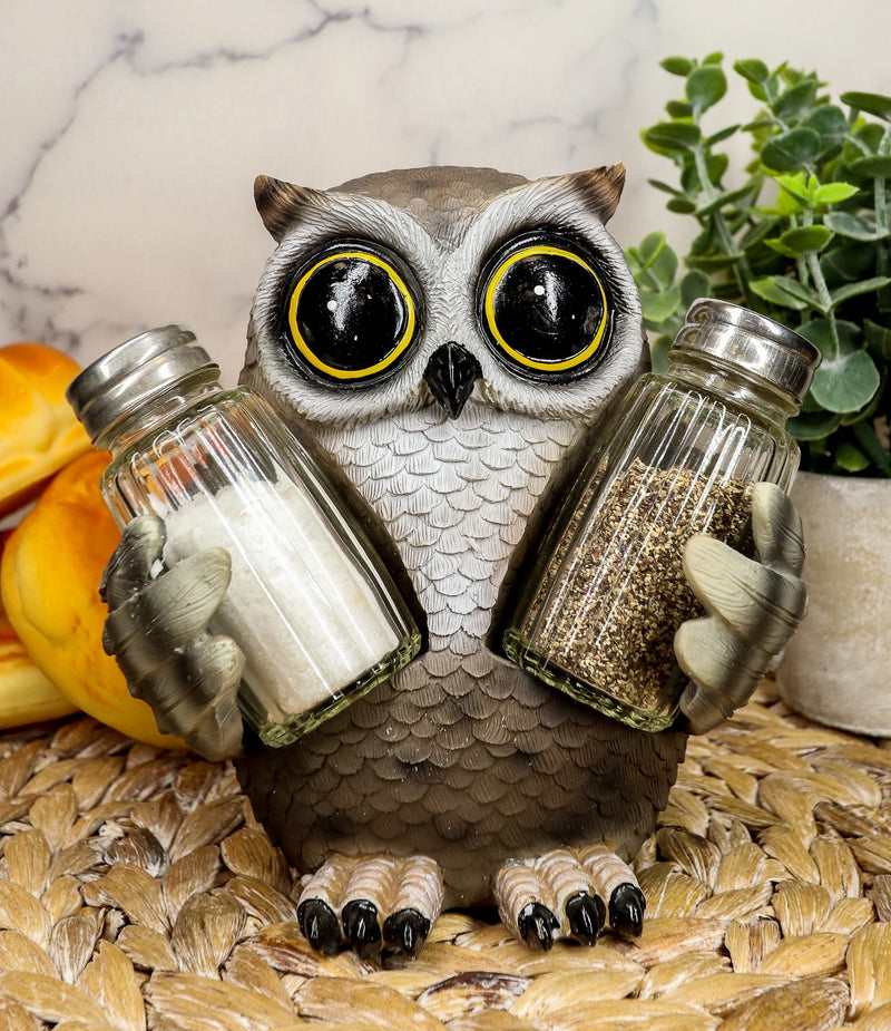 Ebros Whimsical Owlet Baby Owl W/ Big Round Eyes Glass Salt & Pepper Shakers Set