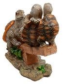 Ebros Gift Mother Turtle Playing with Her Babies On Forest Seesaw Decorative Figurine 6.5" H Animal Reptile Decor of Tortoises Turtles Hatchlings Terrapins Wildlife Whimsical Sculpture