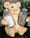 Ebros Gift Farm Barn Porky Pig Salt Pepper Shakers Holder Figurine