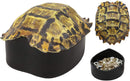 Ebros Nautical Reptile Realistic Elongated Tortoise Shell Decorative Box Figurine 8"L