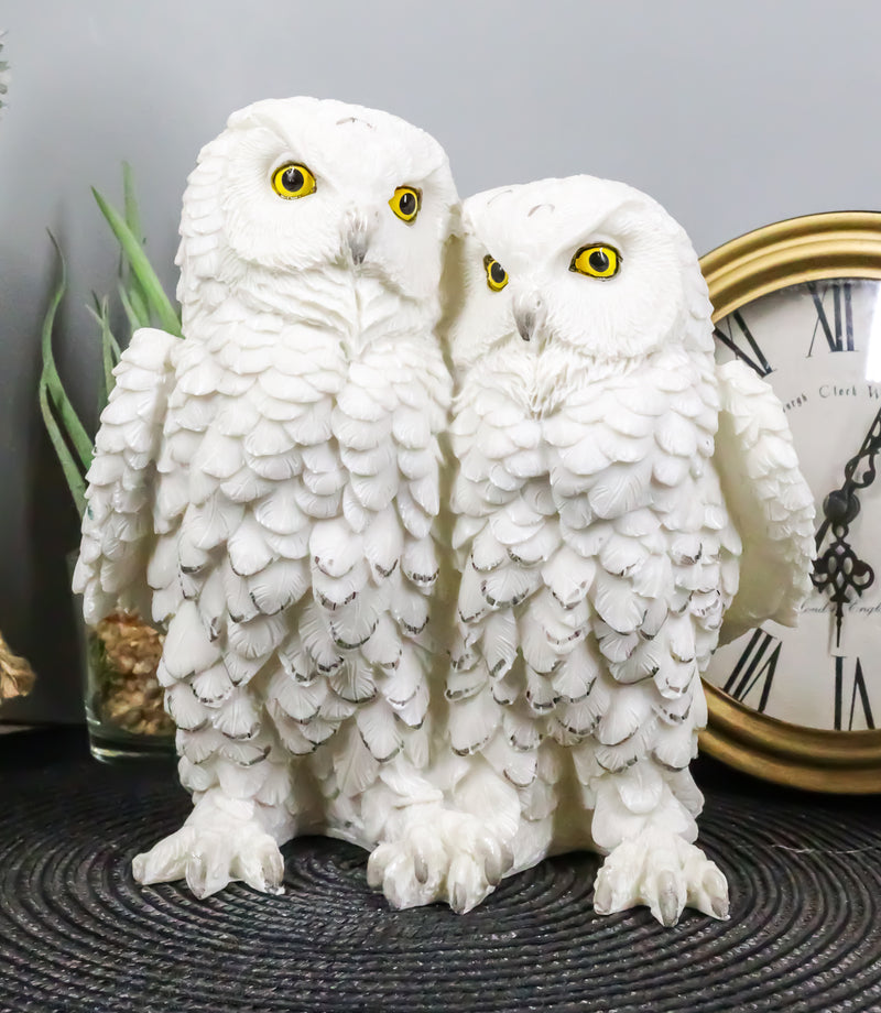 Ebros Mystical Two Snow White Owls Couple Statue 7.25"Tall Whimsical Figurine