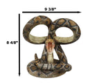 Rustic Western Coiled Diamondback Rattlesnake Snake Double Wine Bottles Holder