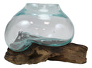 Balinese Handicraft Natural Driftwood With Fitted Hand Blown Glass Bowl 9"W