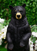 Large 31"H Western Rustic Forest Standing Black Bear Statue Cabin Lodge Accent