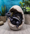 Fossil Twilight Onyx Dragon Hatchling Breaking Out Of Egg Shell Figurine